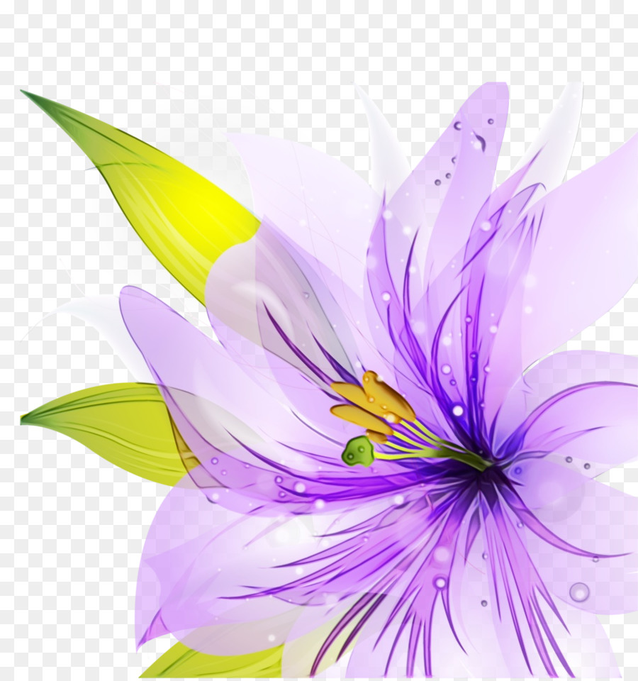 Desain Bunga，Lily PNG