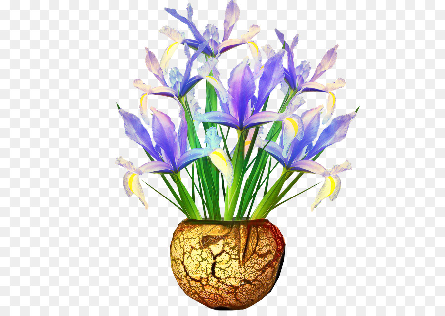 Crocus，Desain Bunga PNG