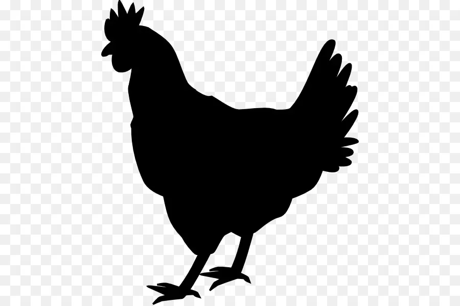 Ayam，Ikon Komputer PNG