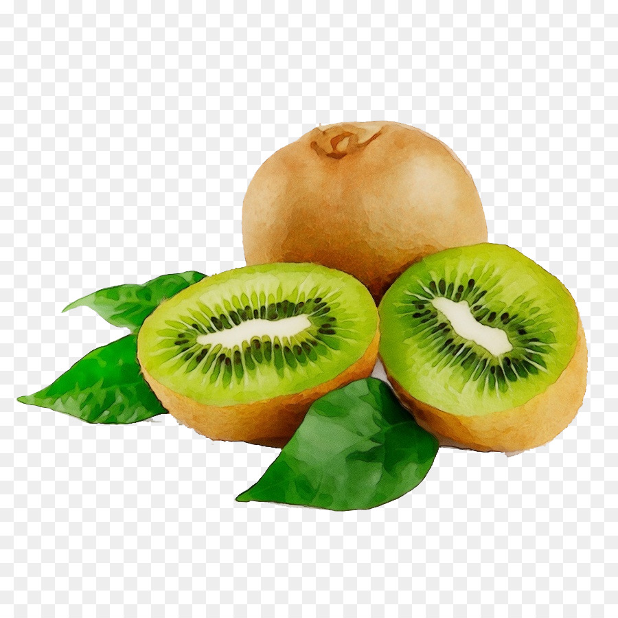 Semua Buah  Buahan Buah  Kiwi  Buah  gambar  png