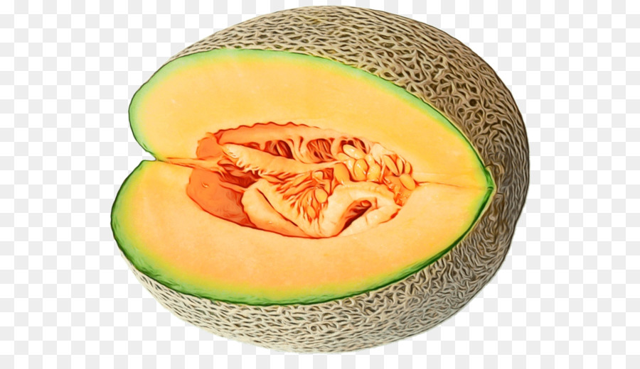  Melon  Galia Melon  Semangka gambar  png 
