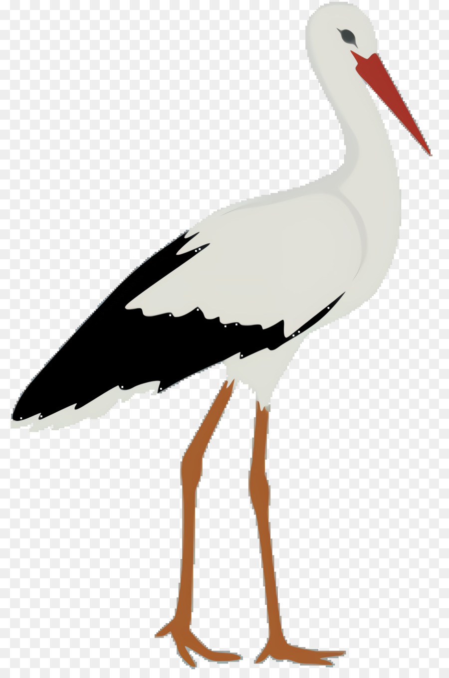 Bangau Putih，Burung PNG