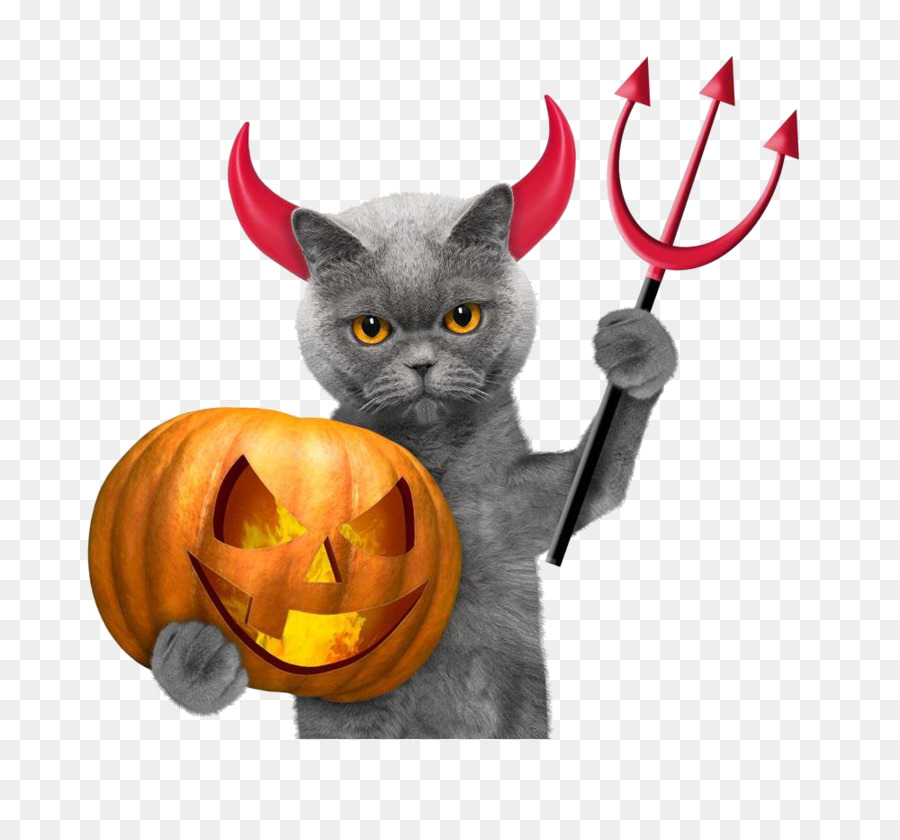 Kucing Halloween，Iblis PNG