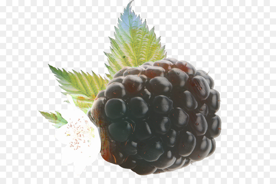 Boysenberry，Makanan PNG