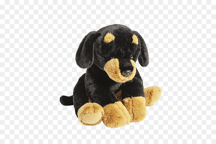 Rottweiler，Anjing PNG