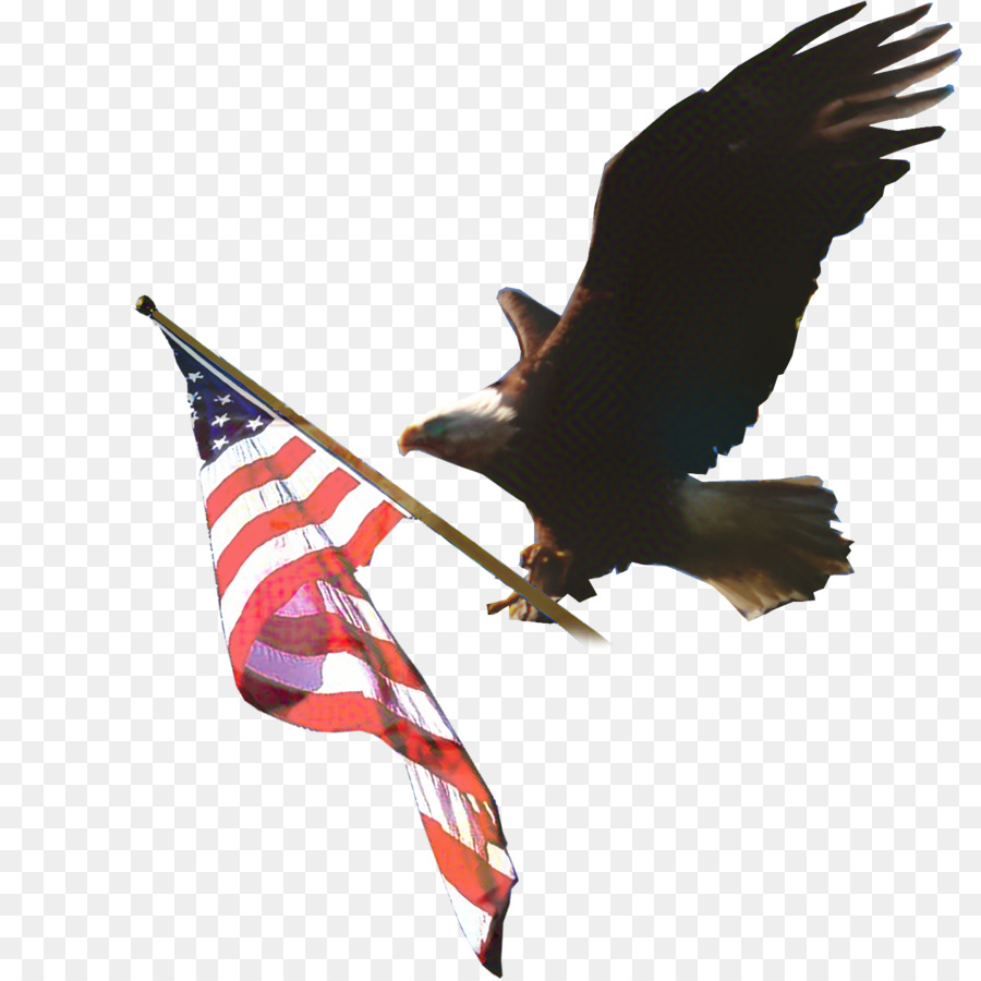 Bendera Amerika Dan Elang，Simbol Nasional PNG