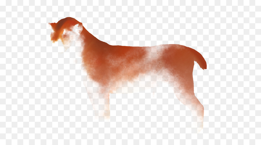 Anjing，Singa PNG