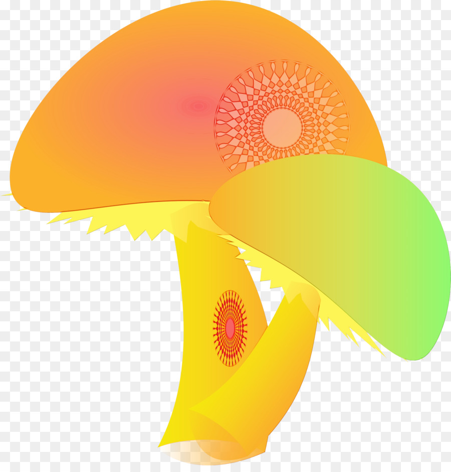 Jamur，Berwarna Warni PNG