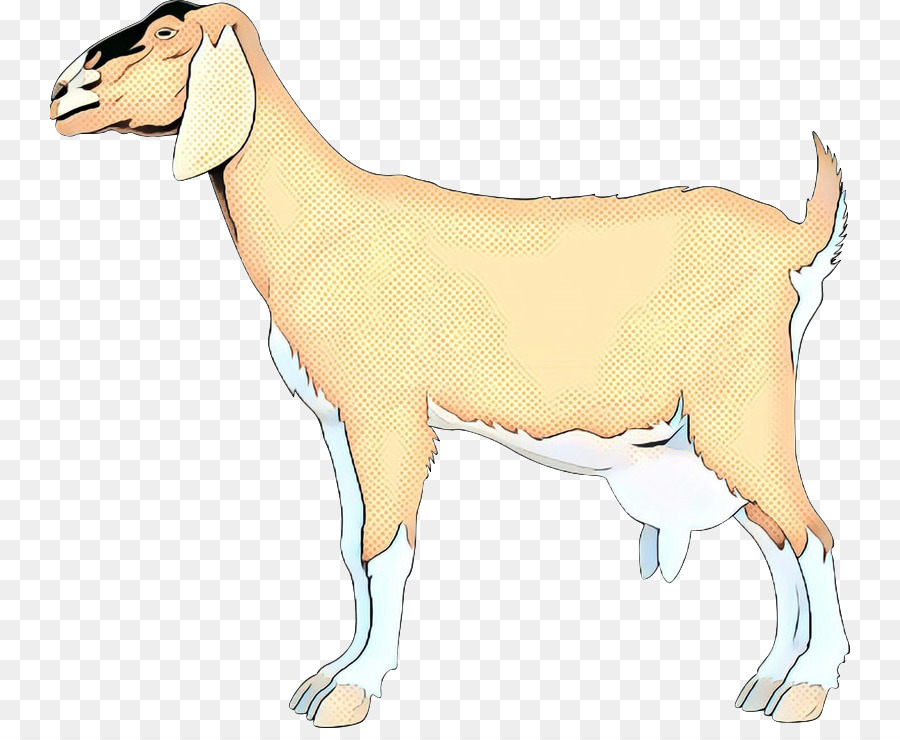 Kambing，Domba PNG