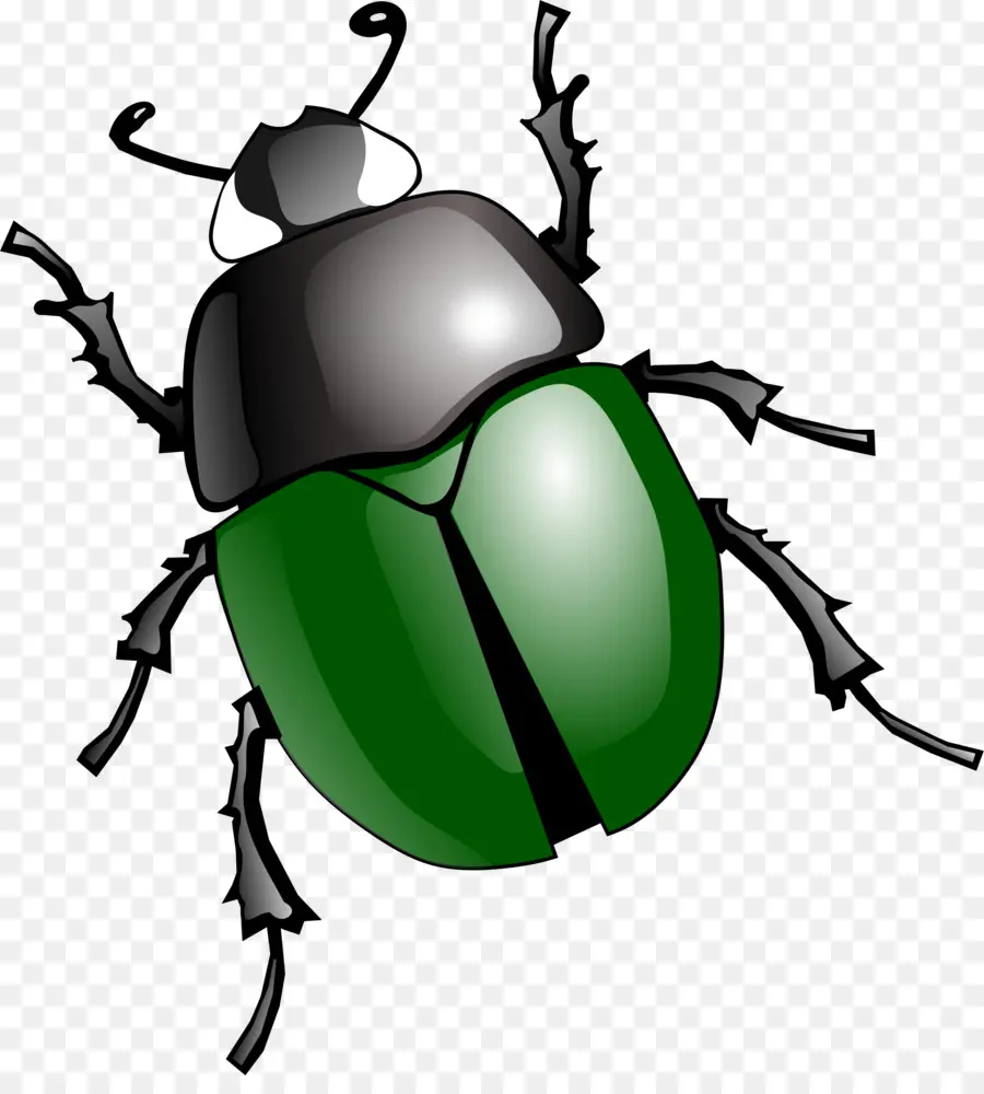 Kumbang Badak Jepang，Kumbang PNG