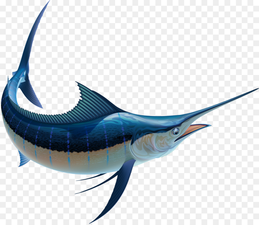  Ikan  Todak Marlin  Billfish gambar  png