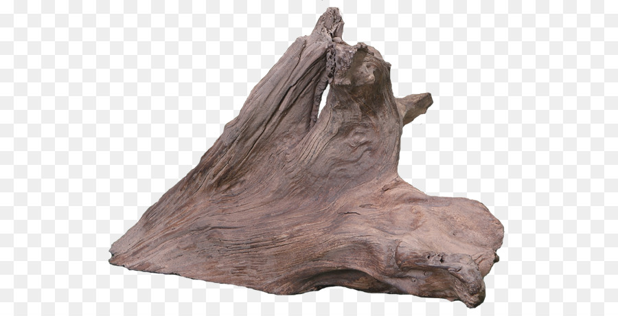 Driftwood，Pohon PNG
