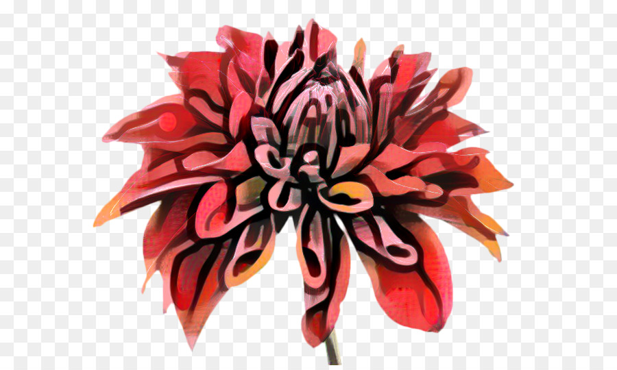 Dahlia，Desain Bunga PNG