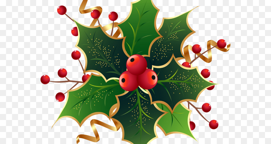 Holly，Daun Daun PNG