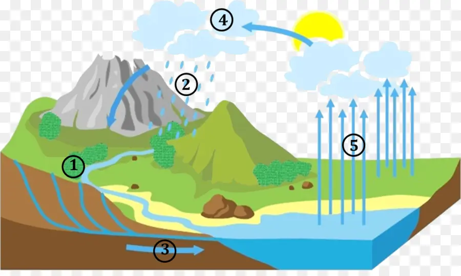 Diagram Siklus Air，Air PNG