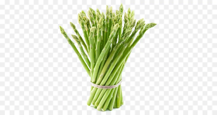 Asparagus，Hijau PNG