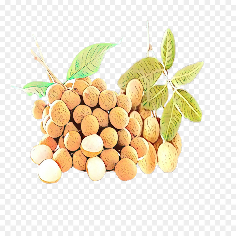 Kenari，Kacang PNG