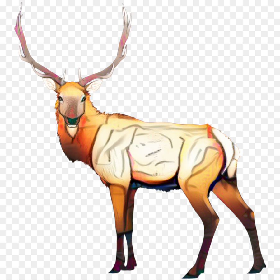 Rusa，Elk PNG