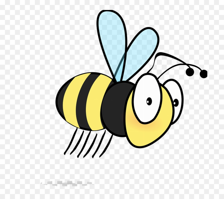  Lebah  Serangga Sarang  Lebah  gambar  png
