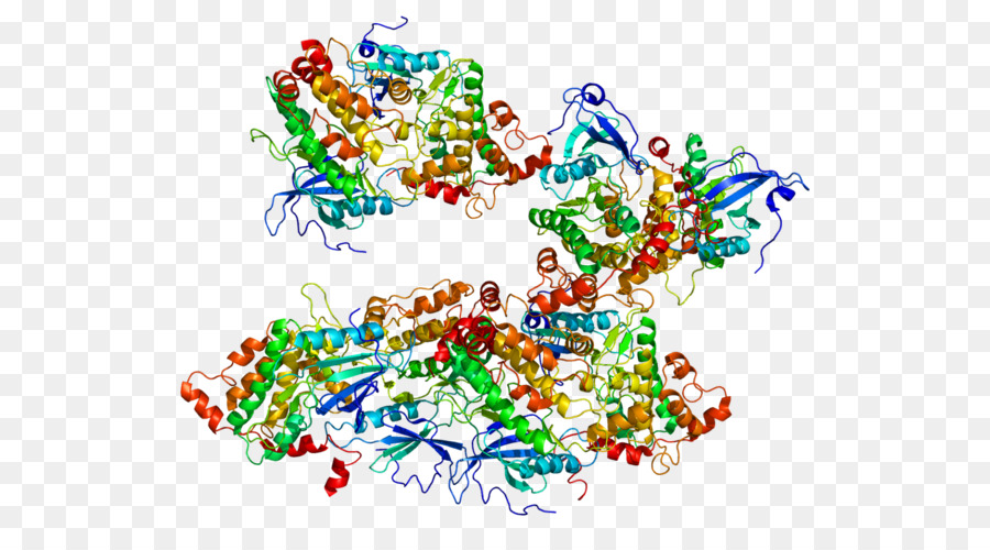 Struktur Protein，Molekul PNG