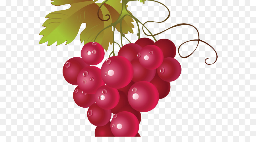 Umum Anggur Anggur，Anggur Merah PNG