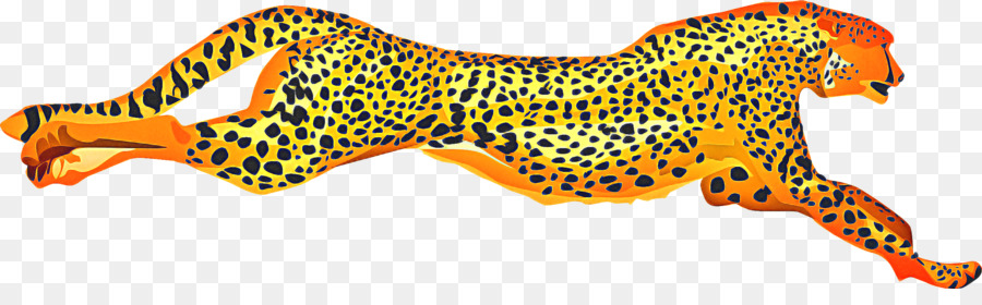 Cheetah，Berlari PNG