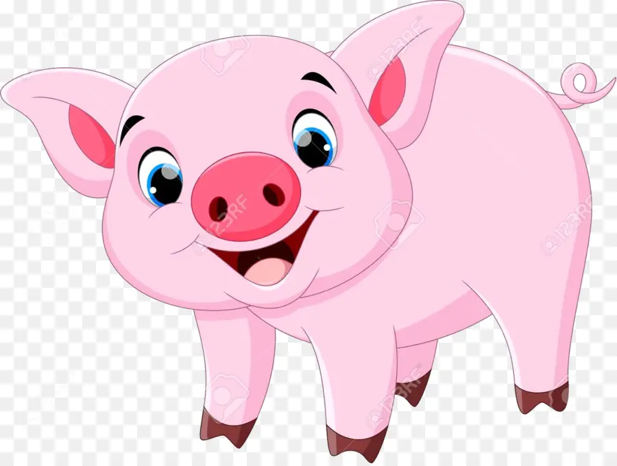 Babi，Royaltyfree PNG