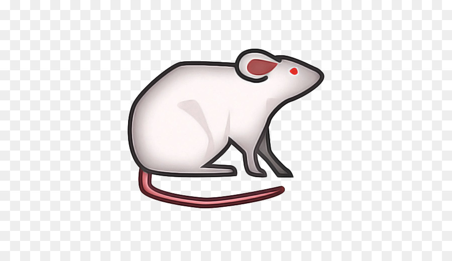 Tikus，Anjing PNG