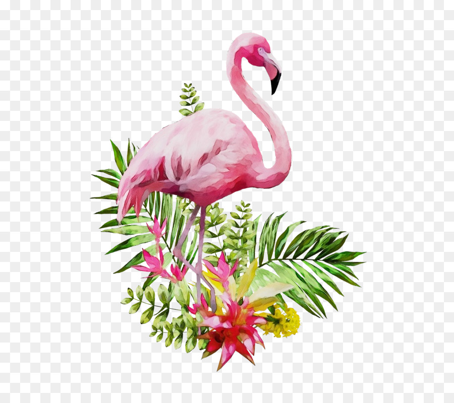 Flamingo，Nanas PNG