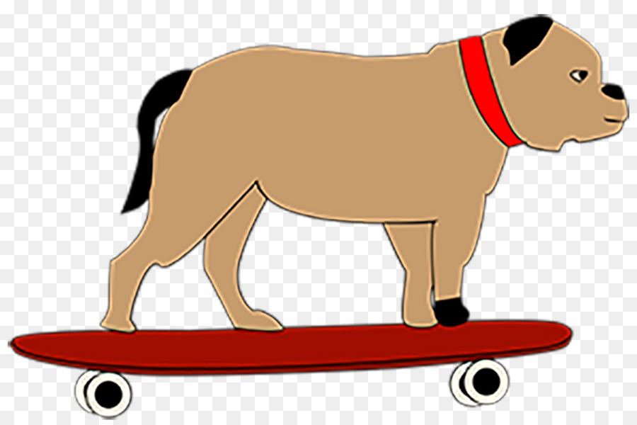 Anjing Di Skateboard，Anjing PNG