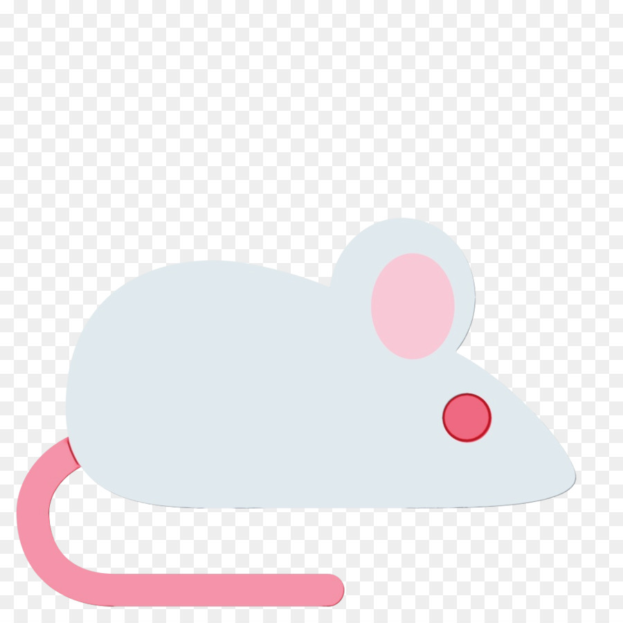 Tikus Abu Abu，Imut Imut PNG