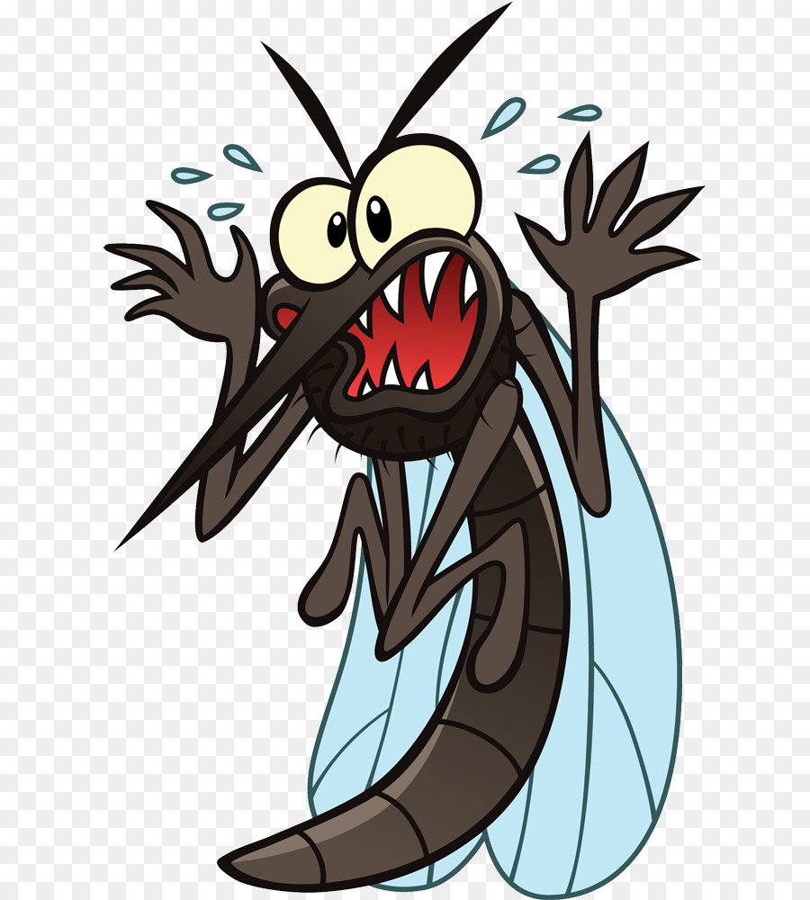  Nyamuk  Serangga Vektor gambar png