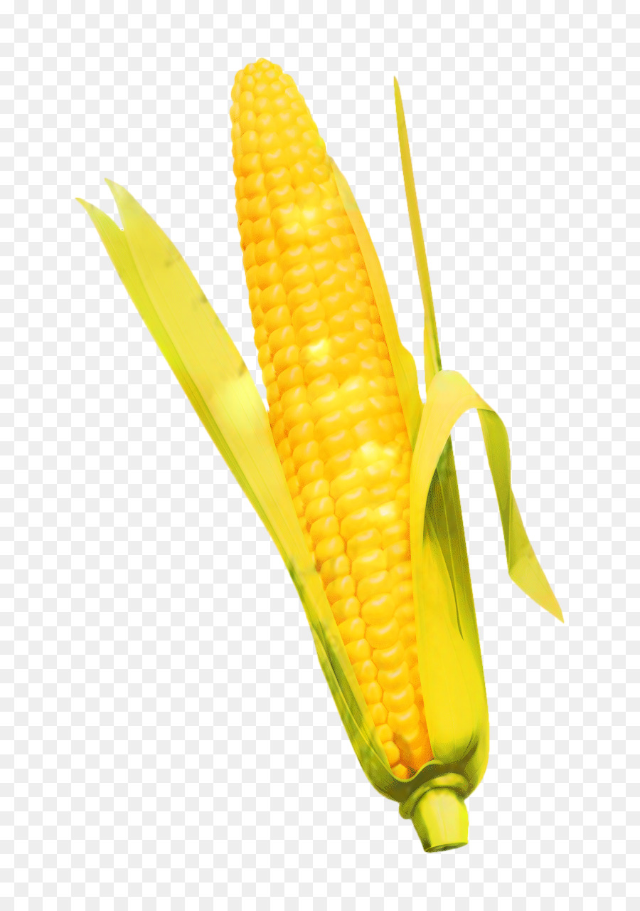 Jagung Rebus，Jagung Kernel PNG