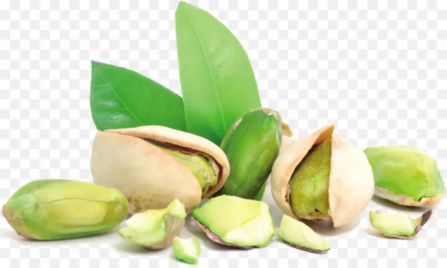 Pistachio，Gila PNG