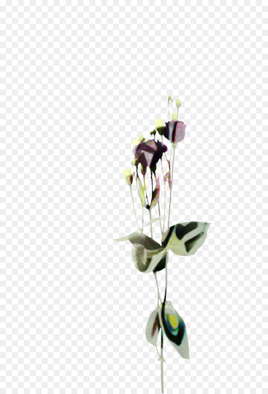 Bunga Potong，Vas PNG