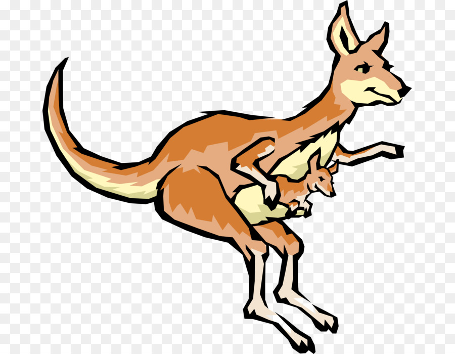 Kanguru，Melompat PNG