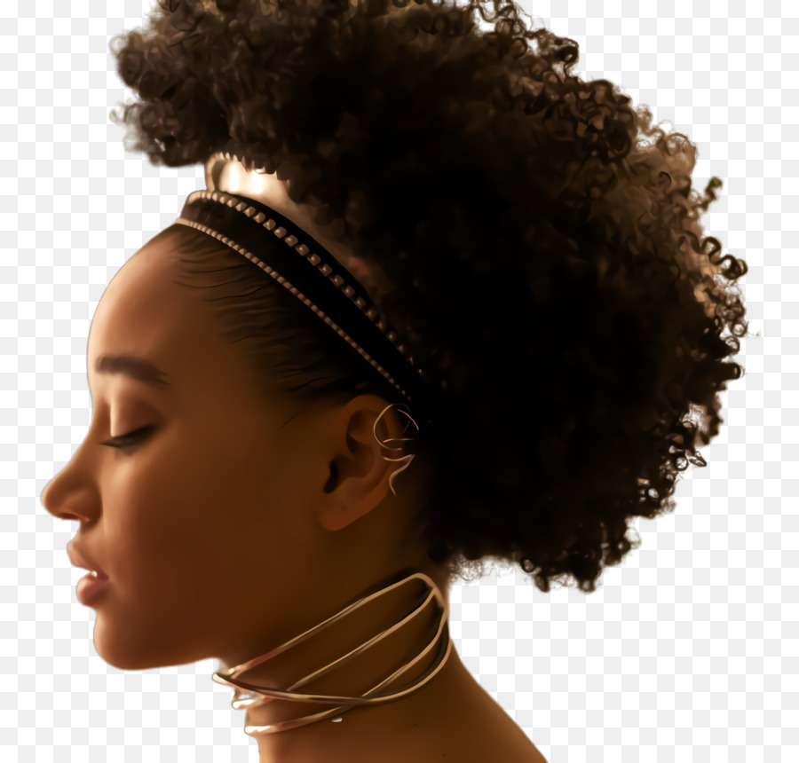 Afro，Rambut PNG