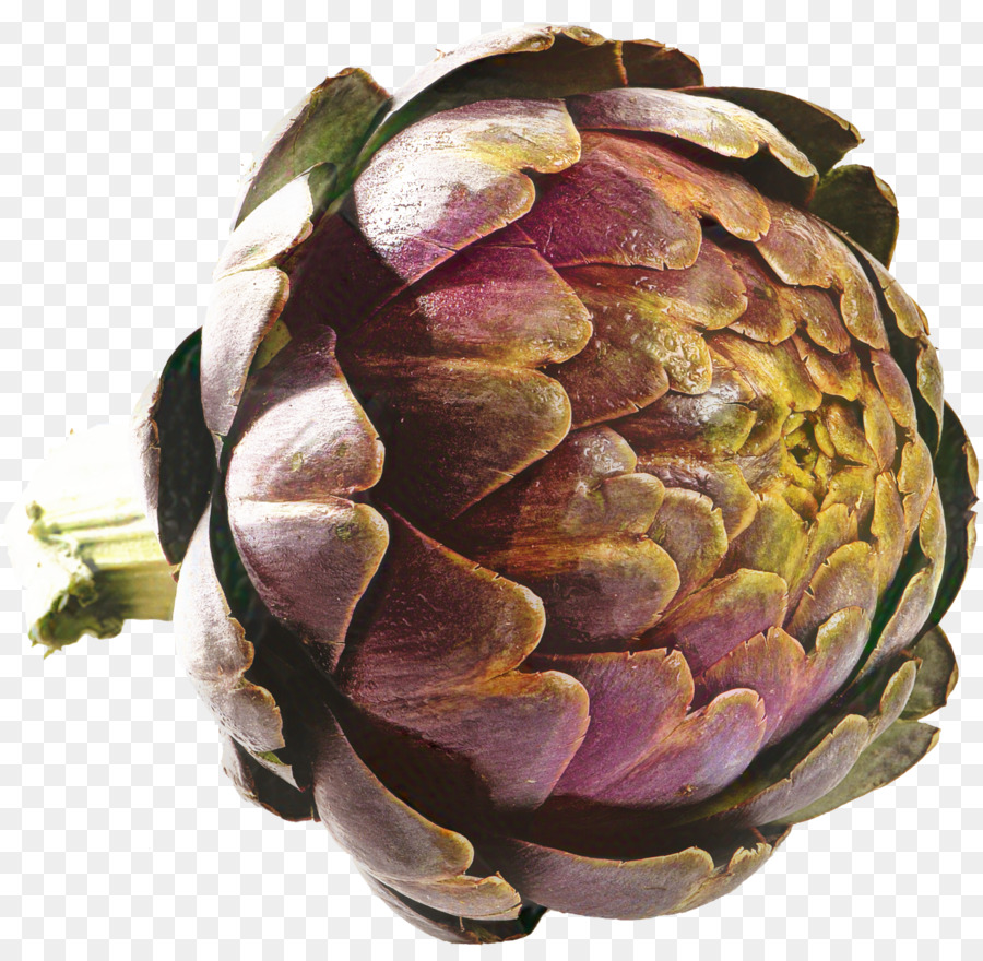 Artichoke，Pabrik PNG