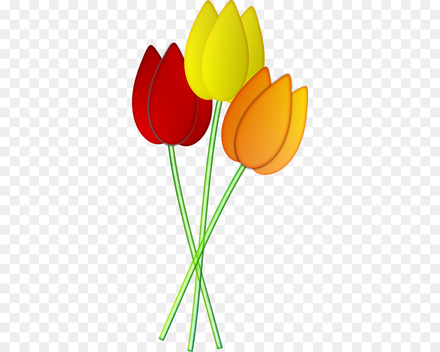 Tulip，Bunga PNG