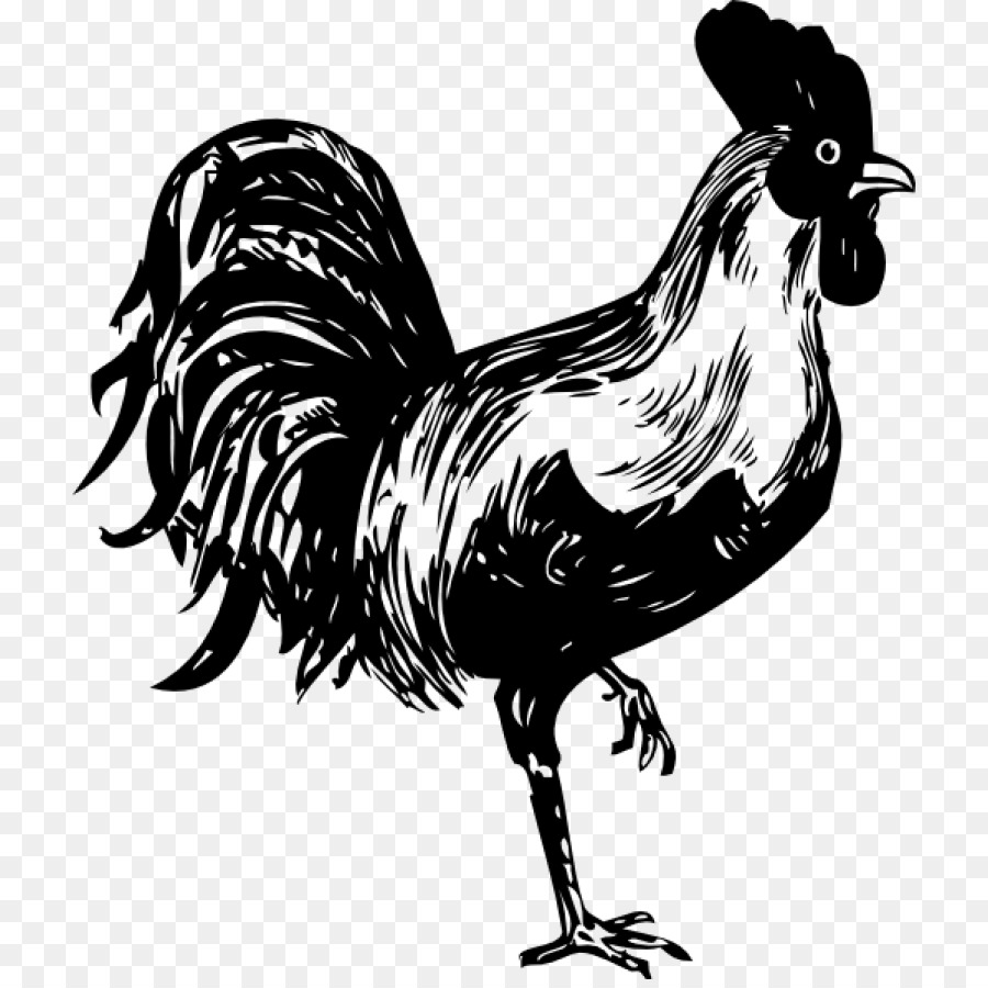 Ayam，Stensil PNG