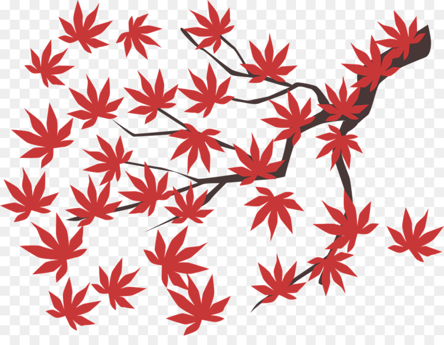 Maple，Daun Maple PNG