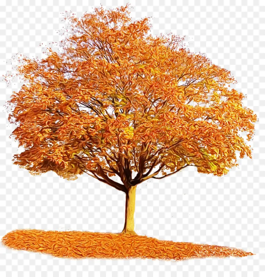 Pohon，Pohon Musim Gugur PNG
