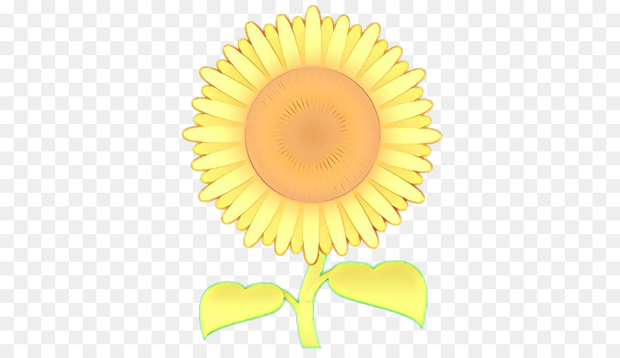 Kuning，Bunga Matahari PNG