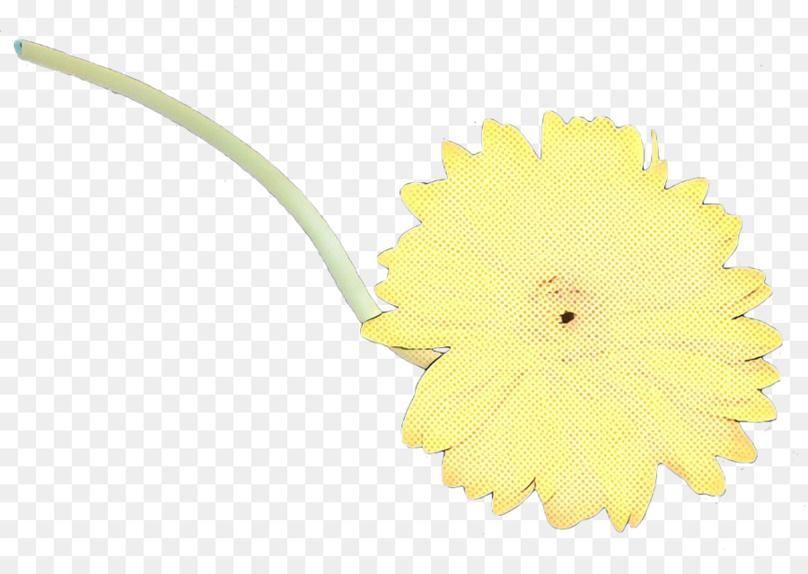 Transvaal Daisy，Kuning PNG