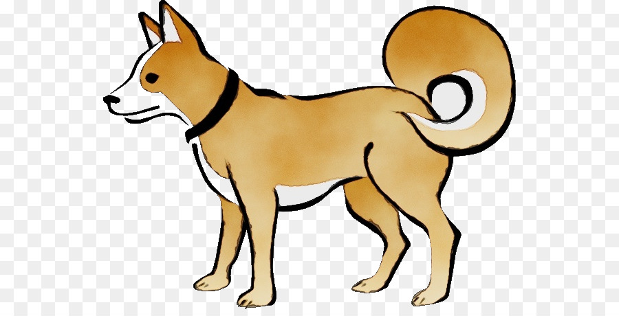 Anjing，Shiba Inu PNG