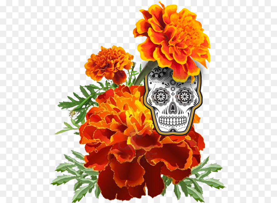 Marigold Dan Tengkorak，Bunga PNG