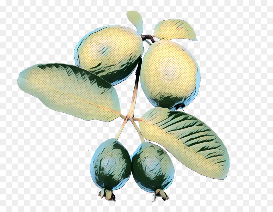 Buah，Pabrik PNG