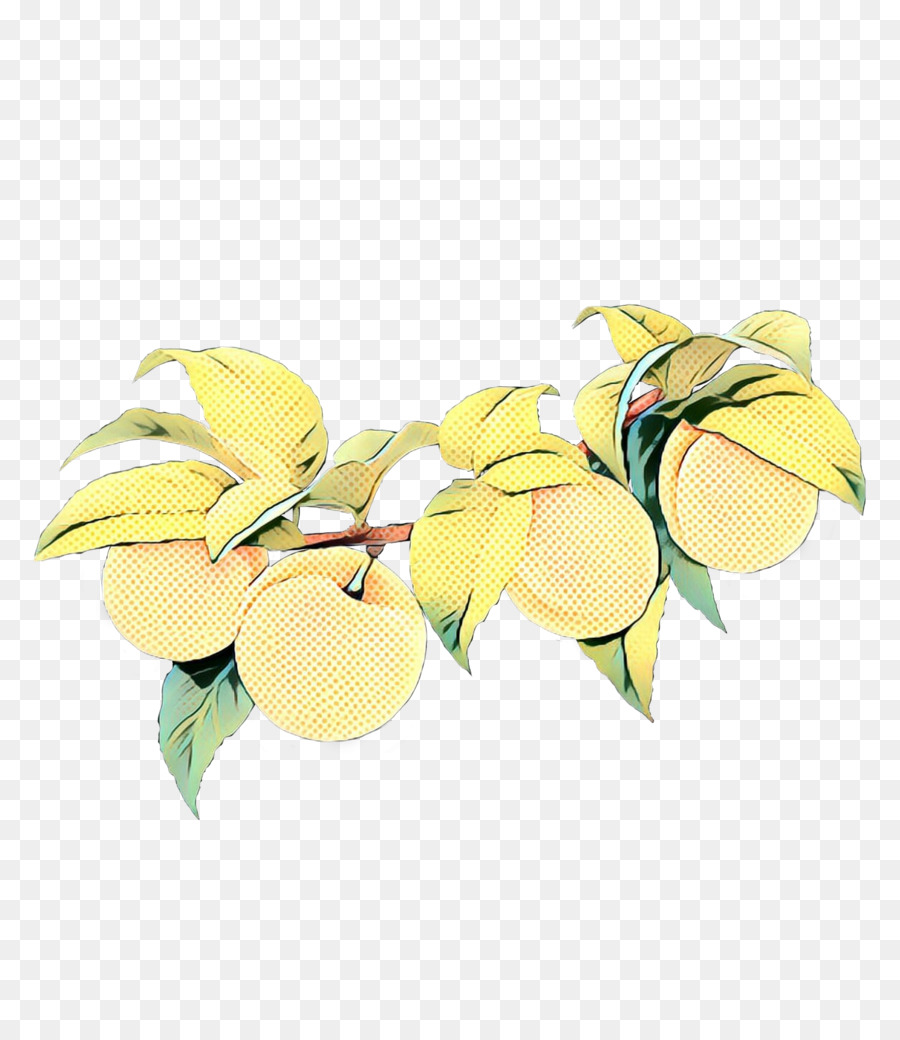 Kuning，Buah PNG