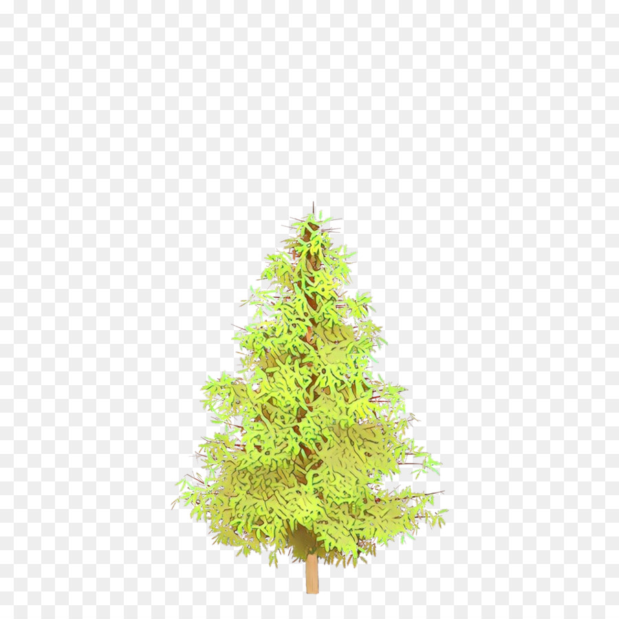 Pohon，Pinus PNG