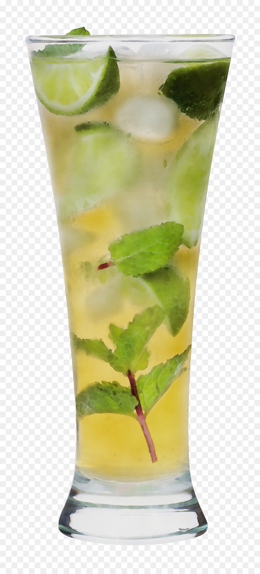 Koktail，Daun Mint PNG